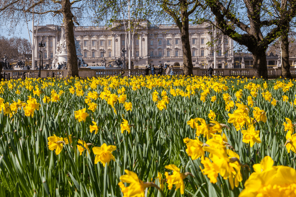 London in the Spring